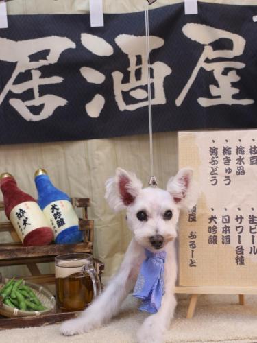 20240608小梅ちゃん